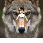 The Wolves Official Fan Group!