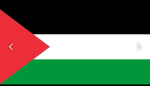 PALESTINE FANS