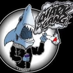 Young Rich Shark