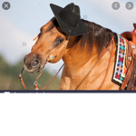 Horses Haven name : Valentina