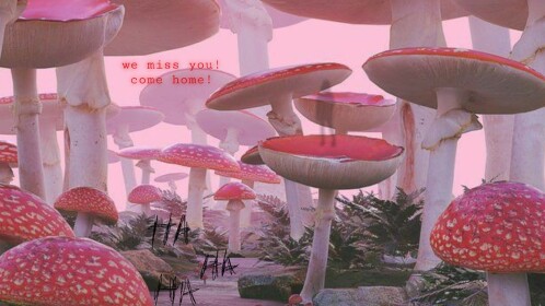 The Pastel Neighbourhood ~WEIRDCORE~