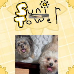 Suni Tower