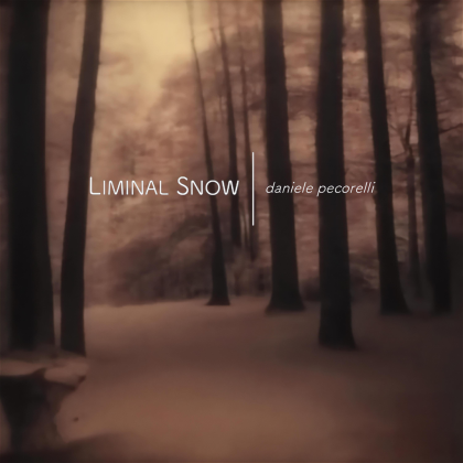 Liminal Snow 005 Roblox music
