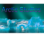 Arctic Studios and Games