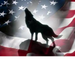 Wolf Clans Rising