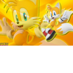 Tails the flying fox