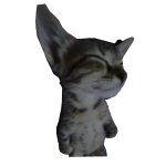 sleepy cat (top)