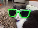 roblox player 248's cat group