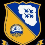 Blue Angles ptfs