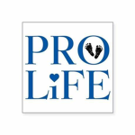 Roblox Pro Life Movement