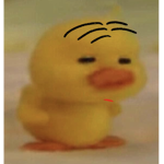 > * tosdach * <