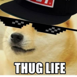 Dogo SQ