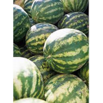 country of watermelon