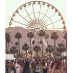 coachella tings