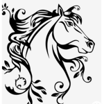 Equestrian Academy
