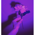 Ceeloucreates