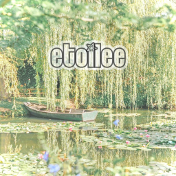 étoilée homestore