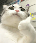 n0tt_mae