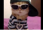 swaggy and swaggers only