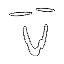 ,traces icon