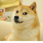 겜잘