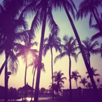 tumblr beach trees background Roblox decal