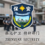 振远护卫|特种部门