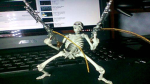 TheMonkey_Clan