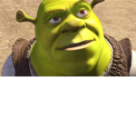 Shreky sooooooo cute