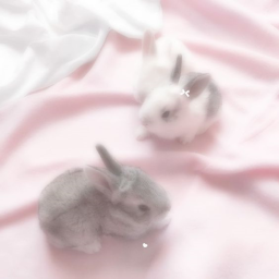 ୨୧° ♡ °୨୧