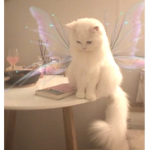 TeddyTears <3