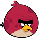 The Biggest Bird.