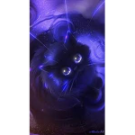 The mew mew Cat club :D