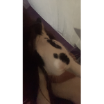 Coco is the beautiful