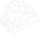 The Lion's Den Boxing Gym