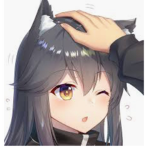 Kawaii Fox!