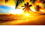 Sunshine Clothing Line