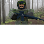 {Canadian Armed Forces}