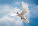 We Care First Outreach Ministry