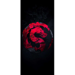 Red-Dragon-Karate