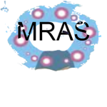 M.R.A.S (Maximum Robloxian Assault Squad).