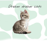 Dream dream Cats