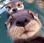 can we be fwends pwease