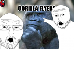 GORILLA FLYERS