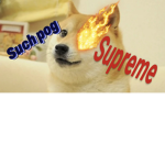 1st Doge Regiment