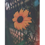 crueltyy ࿔