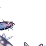 🦋