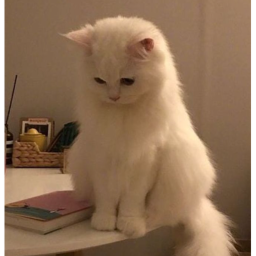 ♡