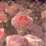 Priztimic