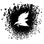 Order of Raven